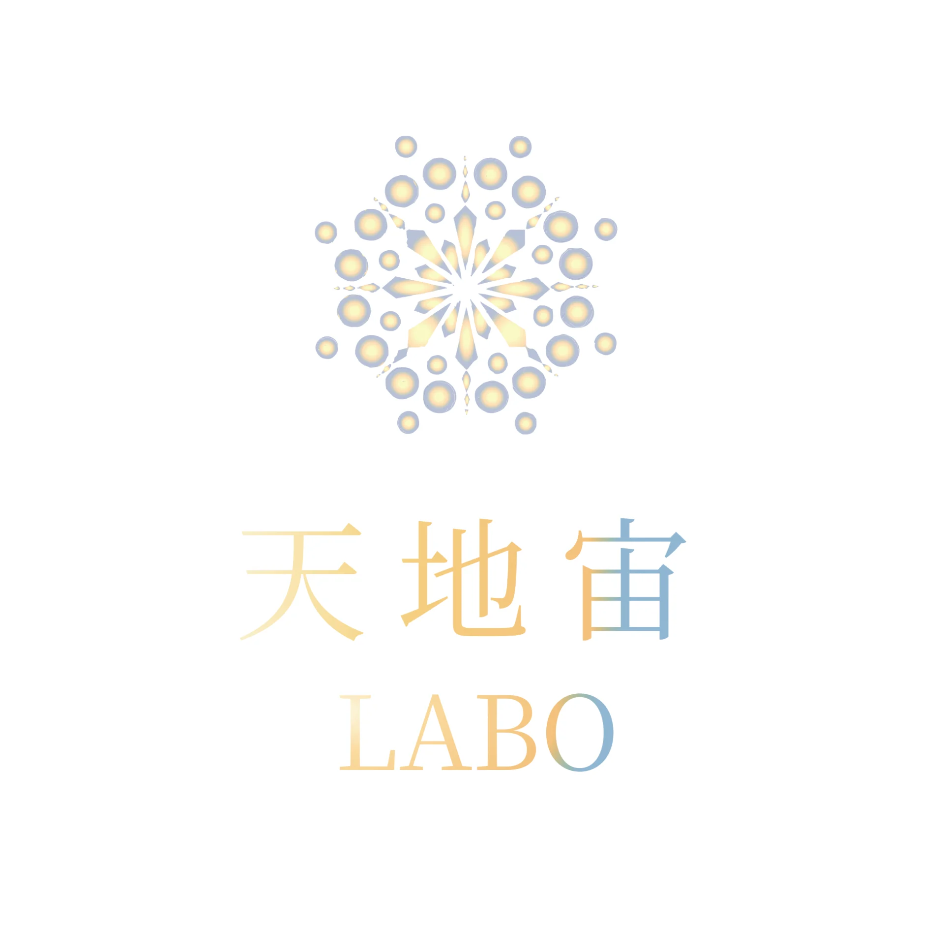 天地宙LABO ご参加権（一年分）